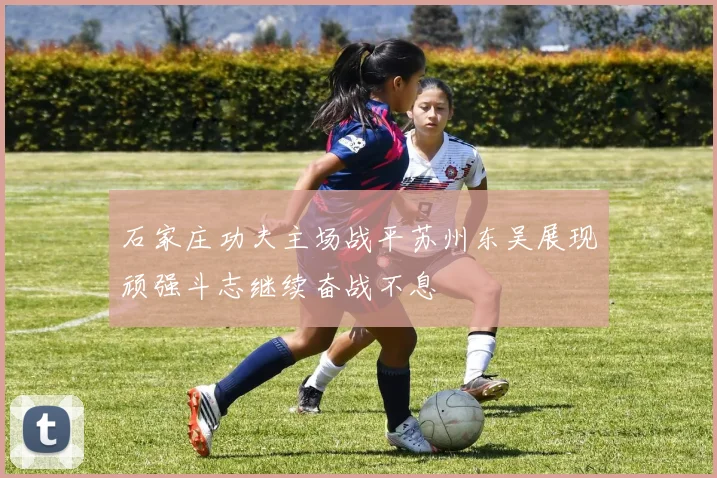 石家庄功夫主场战平苏州东吴展现顽强斗志继续奋战不息