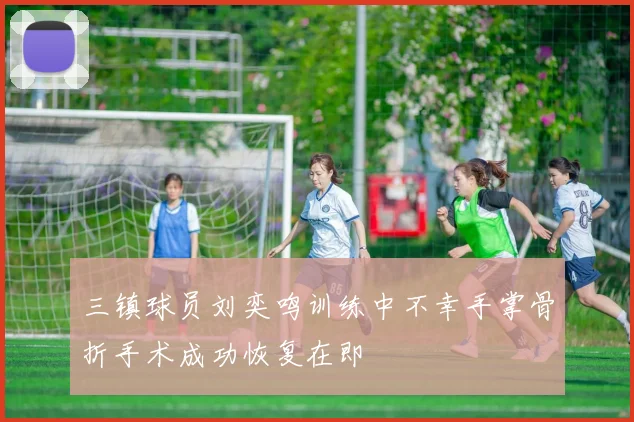 三镇球员刘奕鸣训练中不幸手掌骨折手术成功恢复在即